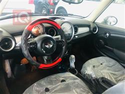 Mini Paceman